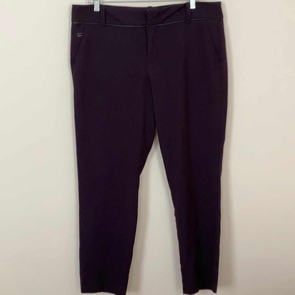 Calvin klein pant